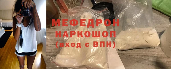 хмурый Аркадак