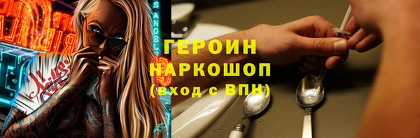хмурый Аркадак