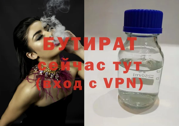 хмурый Аркадак