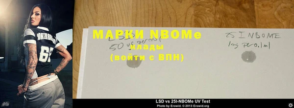 хмурый Аркадак
