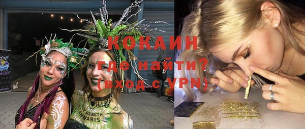 ешки Арсеньев