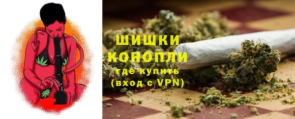 хмурый Аркадак