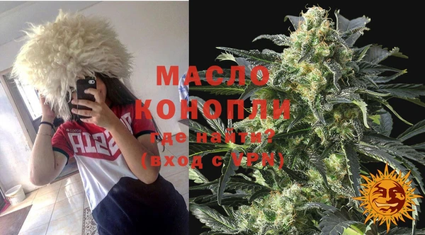 хмурый Аркадак