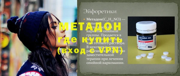 хмурый Аркадак