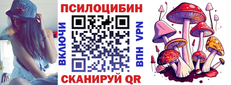 что такое   Сусуман  Галлюциногенные грибы мицелий 
